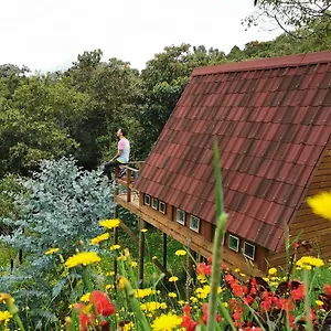  Сasa de vacaciones En Santa Elena En Medio Del Bosque